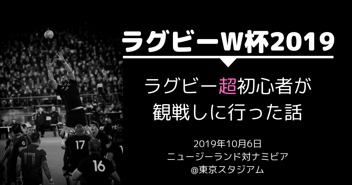 ラグビーワールドカップ2019 超初心者が観戦しに行ったら…